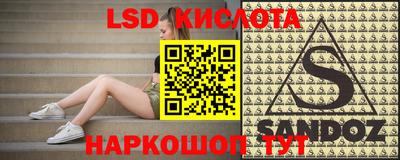 хмурый Кингисепп