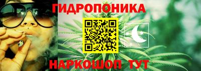 тгк Кимры
