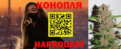 крисы Кинель